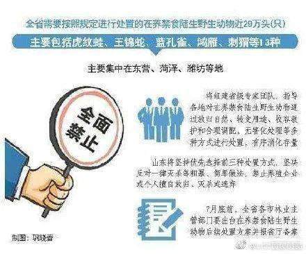 2025新澳精准正版免费大全,详细解答解释落实_的警惕虚假宣传