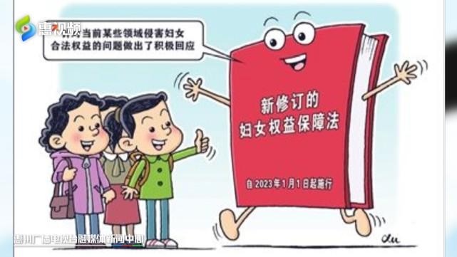 2025新奥资料正版大全,详细解答解释落实_的警惕虚假宣传