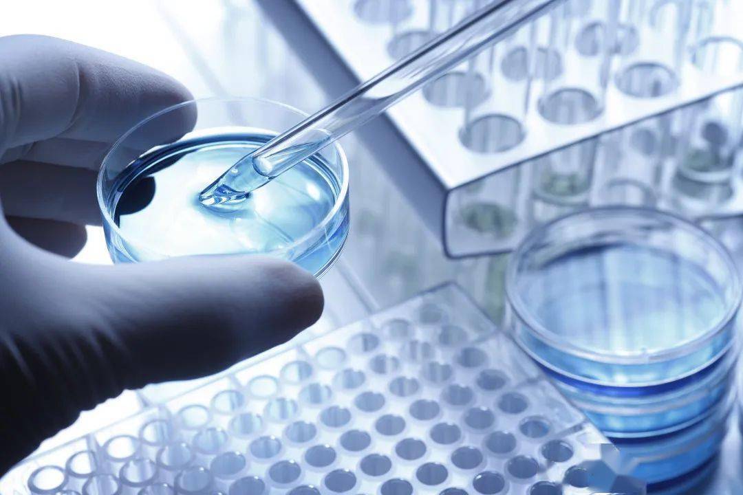 2025澳门正版免费精准大全,详细解答解释落实_的警惕虚假宣传