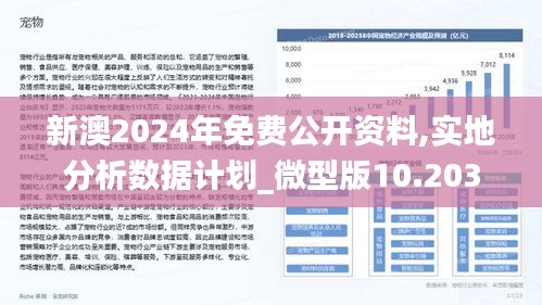 2025新澳精准正版免费大全,详细解答、解释与落实