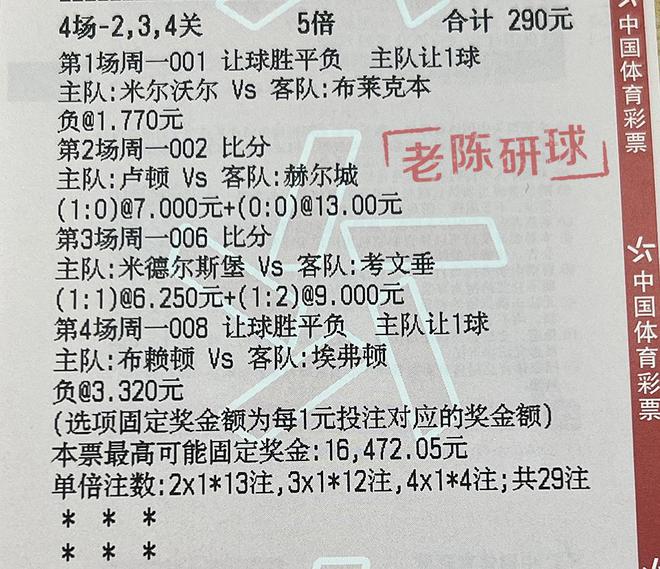 王中王493333中特马,详细解答、解释与落实