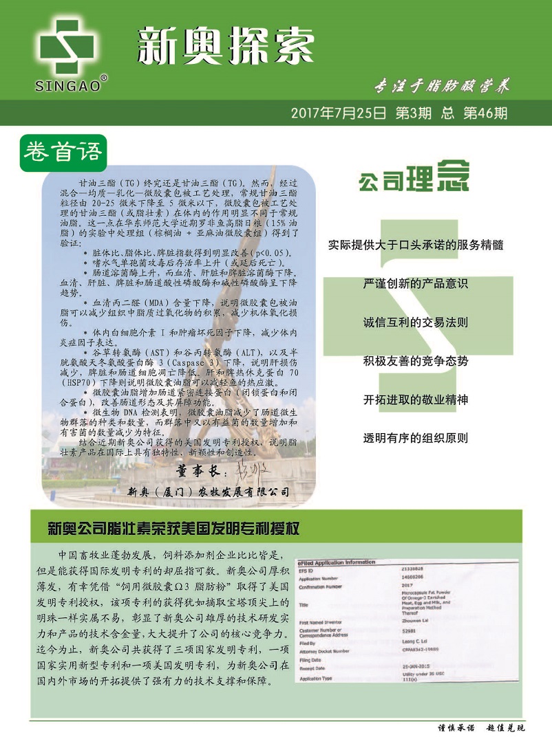 2005新澳正版免费大全;全面释义、解释与落实