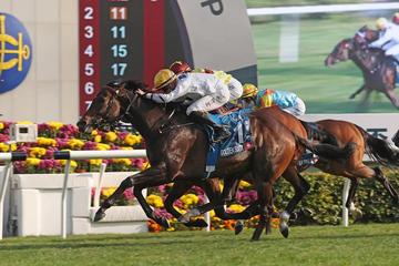 2025澳门和香港特马网站www;全面释义、解释与落实